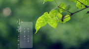 小暑時(shí)節(jié) 彈性地板上的詩(shī)意棲居