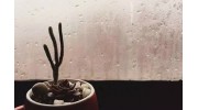 門窗玻璃為什么會(huì)結(jié)露？怎么處理？
