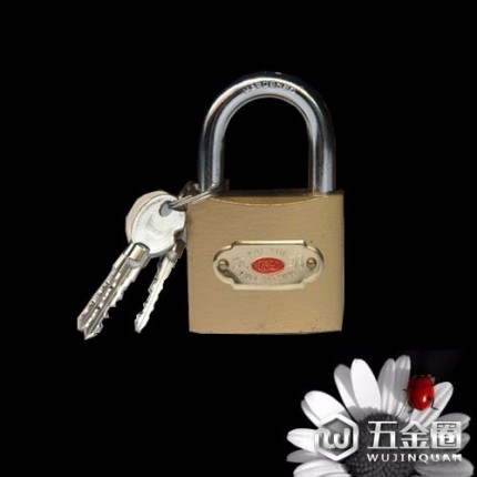 凱玥鎖具凱玥仿銅普通齒門禁鎖  中控鎖  鎖體  鎖具廠 鎖具廠家 廠家直銷 質(zhì)量保證    歡迎來(lái)電咨詢！