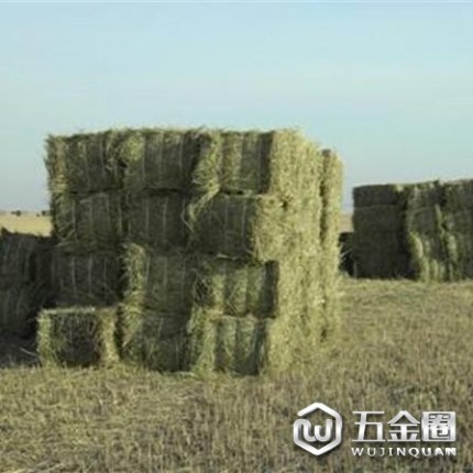 函倫草業(yè)、羊草、東北羊草、飼料、牛羊草料、羊草批發(fā)