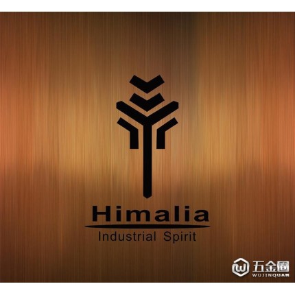 Himalia 304不銹鋼P(yáng)VD金 玫瑰金方形把手門鎖房門鎖分體門鎖室內(nèi)