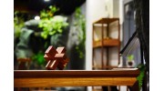 中式家具保養(yǎng)十二式，學會了你就是專家！