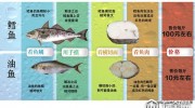 三文魚被淡水虹鱒“強(qiáng)攀親戚”背后 “水產(chǎn)造假嚴(yán)重程度，超出很多人想象”