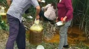 事發(fā)湖北團(tuán)林！農(nóng)田水溝驚現(xiàn)大量菜籽油，引發(fā)村民“搶”油！