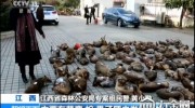 江西破獲迄今最大販賣野生動物案 多名公職人員涉案