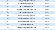 2017年河北省民營企業(yè)服務(wù)業(yè)100強