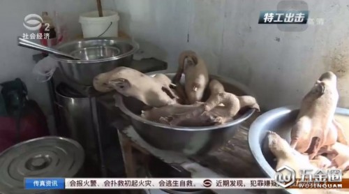 蘇州相城鹽水鵝黑作坊衛(wèi)生狀況堪憂 執(zhí)法部門突擊查處
