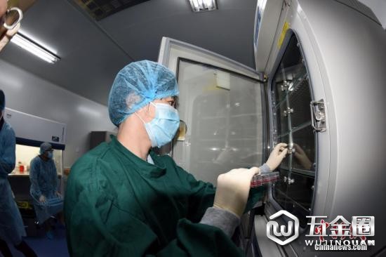 資料圖：科研人員正在工作。中新社記者 孫自法 攝