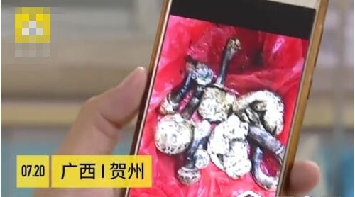 自家樓頂長(zhǎng)世界最毒蘑菇，廣西男子煲湯喝完進(jìn)ICU搶救3天