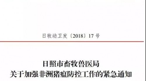 山東日照市畜牧獸醫(yī)局下發(fā)緊急通知 加強(qiáng)非洲豬瘟防控工作