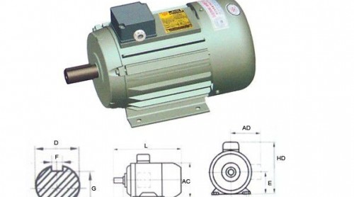 三相異步電動機啟動跳閘原因！