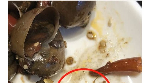 自助餐里吃出蟑螂要求5倍賠償被說(shuō)是敲詐 食客起訴索10倍賠償