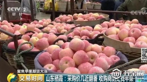 蘋果“紅”了！期貨價格幾近翻番，收購商四處找蘋果！為啥這么火？