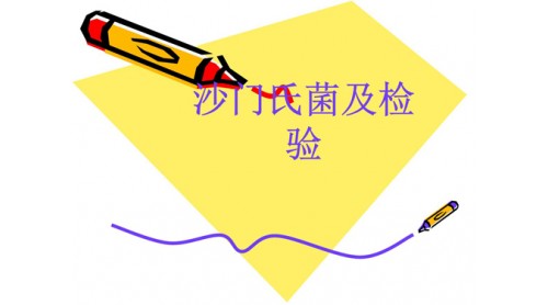 香港食物安全中心在燒豬頸肉飯樣本檢出沙門氏菌