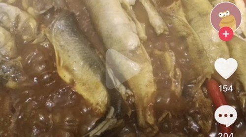 抖音現(xiàn)烹煮二級(jí)保護(hù)動(dòng)物湟魚視頻，青海漁政：已聯(lián)系網(wǎng)警調(diào)查