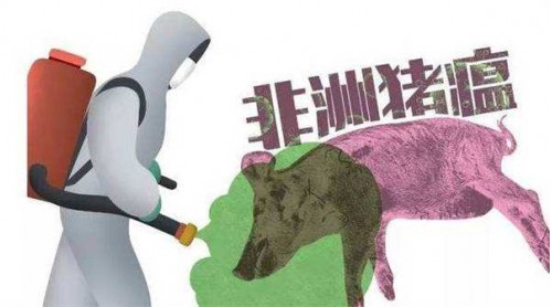 貴州省民政廳迅速應對非洲豬瘟疫情 全面禁止餐廚廢棄物飼養(yǎng)生豬