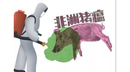 哈爾濱海關(guān)全力做好非洲豬瘟疫情防控工作