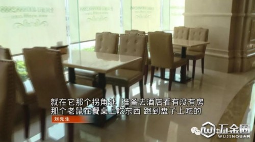 就因?yàn)槎嗫戳艘谎?，男子發(fā)現(xiàn)深圳這家知名連鎖酒店，大堂的餐桌上竟然有老鼠！