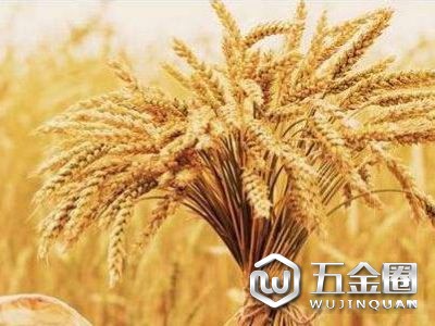 《糧食安全保障法》起草領(lǐng)導(dǎo)小組 召開(kāi)第一次會(huì)議