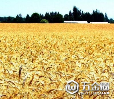 《糧食安全保障法》起草領(lǐng)導(dǎo)小組 召開(kāi)第一次會(huì)議
