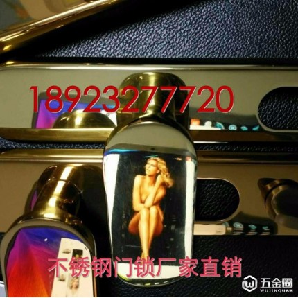 固盾原子不銹鋼304多功能執(zhí)手鎖佛山廠家直銷不銹鋼防盜門(mén)鎖多功能執(zhí)手鎖 別墅銅門(mén)鎖具室內(nèi)門(mén)拉手