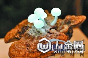 中國(guó)建材網(wǎng)