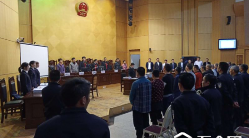 生產(chǎn)銷售毒狗肉8萬(wàn)余斤 16人獲刑還被公益索賠560余萬(wàn)