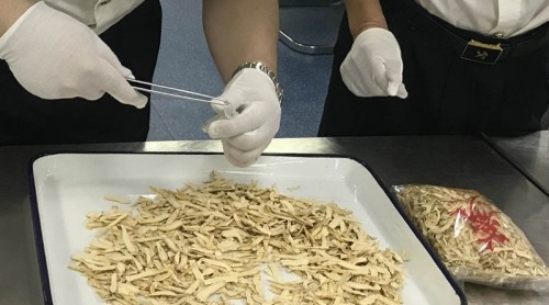 黃埔海關首次在旅檢渠道截獲高危倉儲性害蟲煙草甲