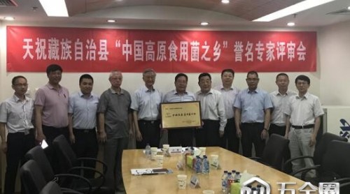 天祝縣加快發(fā)展現(xiàn)代食用菌產(chǎn)業(yè) 正式譽(yù)名為“中國高原食用菌之鄉(xiāng)”