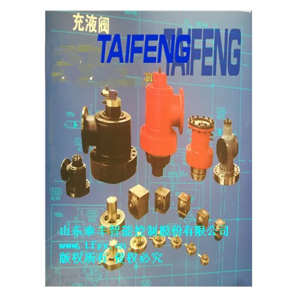 供應(yīng)泰豐油缸用充液排液閥