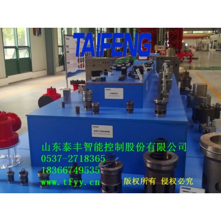 供應(yīng)泰豐插裝閥YX32-500ACV價(jià)格