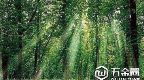 木業(yè)|森林法修改：下放采伐限額審批權