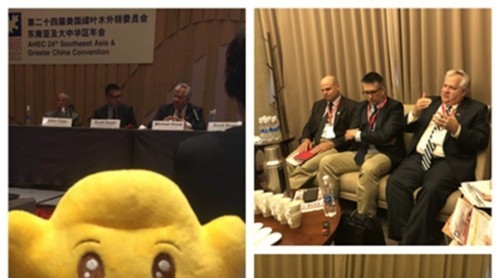 暢談美國(guó)闊葉木的低碳環(huán)保之美
