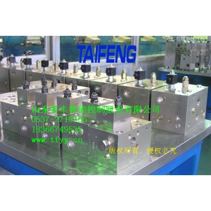 泰豐63T-160T數(shù)控折彎機(jī)用集成塊