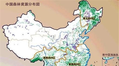 未來我國木材進口供給特點預測