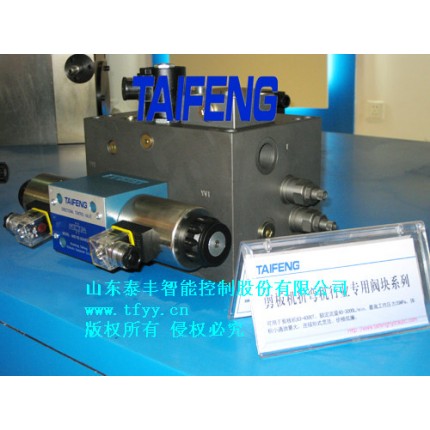 泰豐剪板機(jī)專用閥塊系列廠家直銷