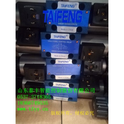 泰豐4WE6H-50/AG24NZ5L電磁閥