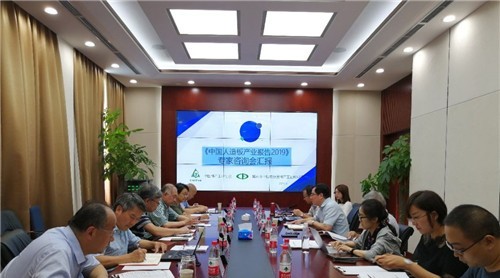 《中國人造板產(chǎn)業(yè)報告2019》專家咨詢會順利召開