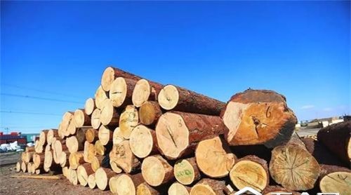 俄羅斯：禁止對華出口木材是不切實(shí)際的