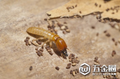 中國建材網(wǎng)