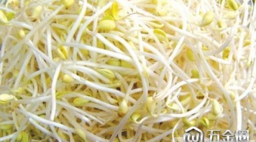 為了舌尖上的安全，韭菜豆芽里做出大文章！